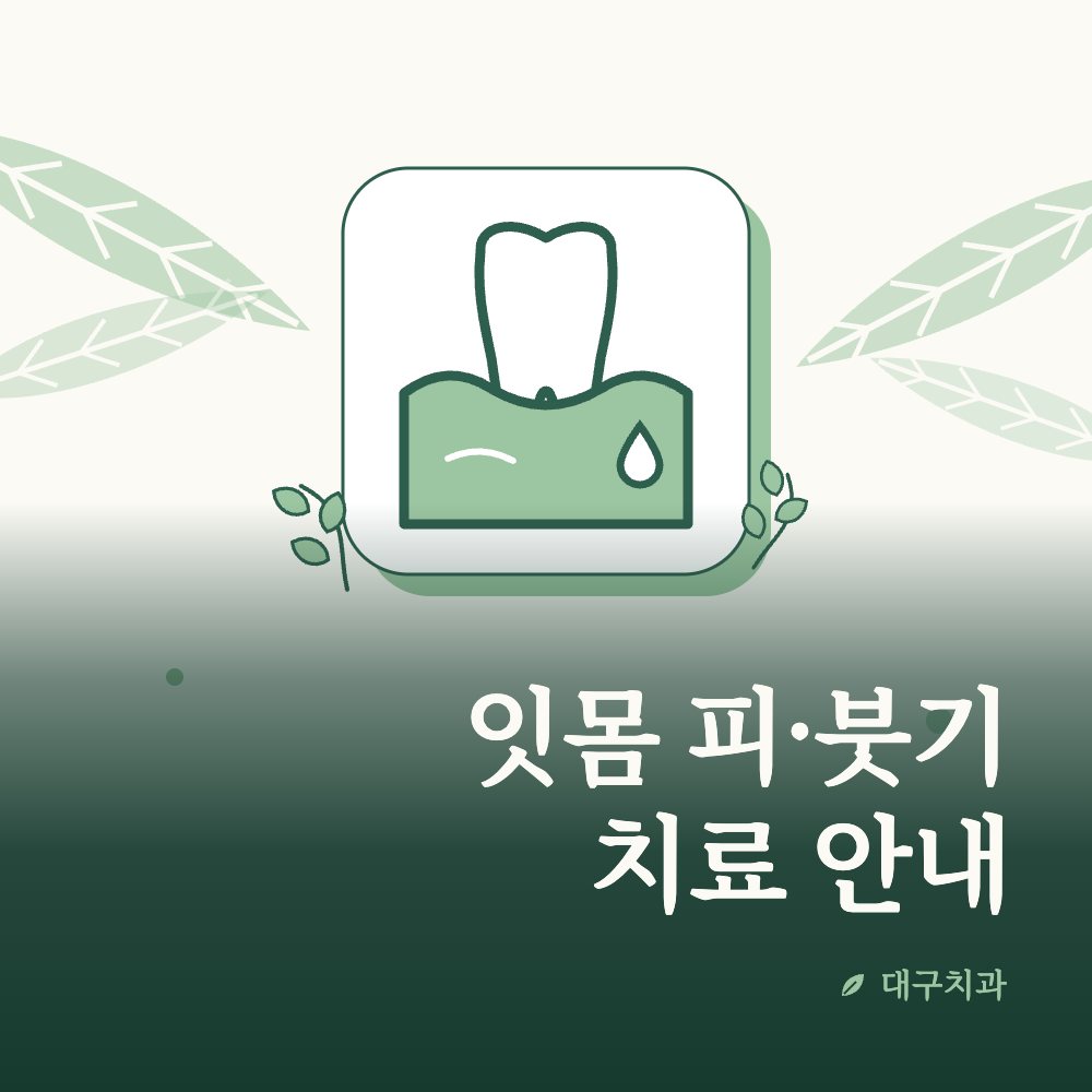 잇몸 피·붓기 치료 안내